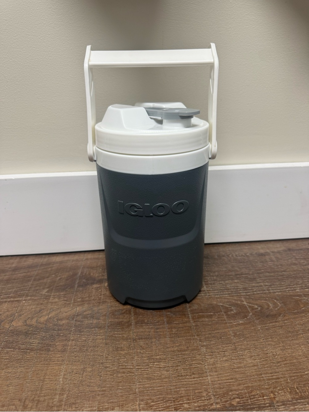 Igloo Gray and White Insulated Water Jug with Carry Handle